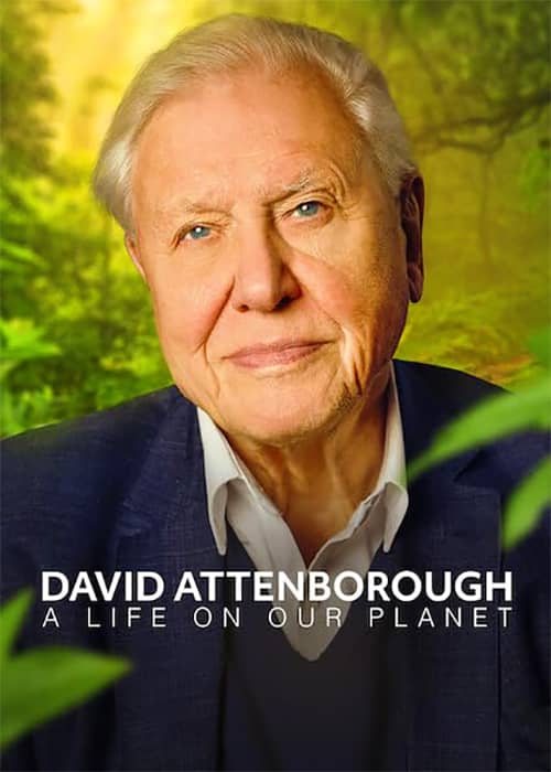 david attenborough a life on our planet 2020 فیلم دیوید اتنبرو:زندگی در سیاره ما - محصول 2020
