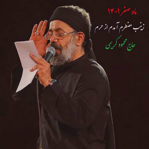 دانلود مستقیم مداحی زینب مضطرم آمدم از حرم محمود کریمی